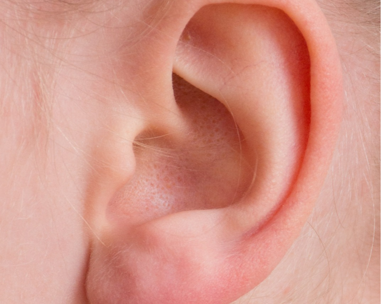 1° Consulta Auriculoterapia