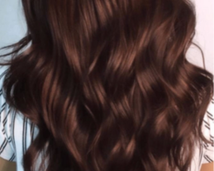 Color completo (medidas: C,M,L,XL) desde: