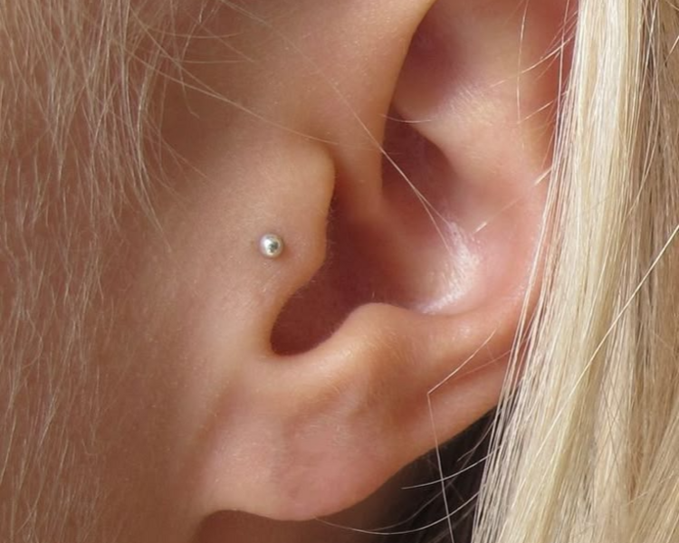 Tragus
