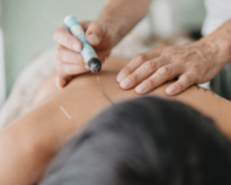 REGULACION ESTACIONAL INDIVIDUAL