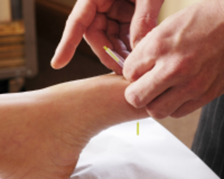 REGULACION ESTACIONAL INDIVIDUAL