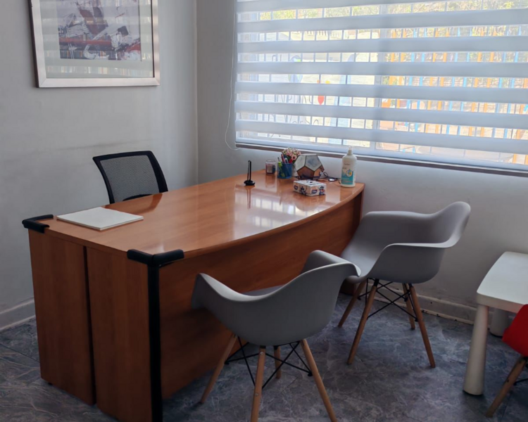 Psicología Adultez (PRESENCIAL)