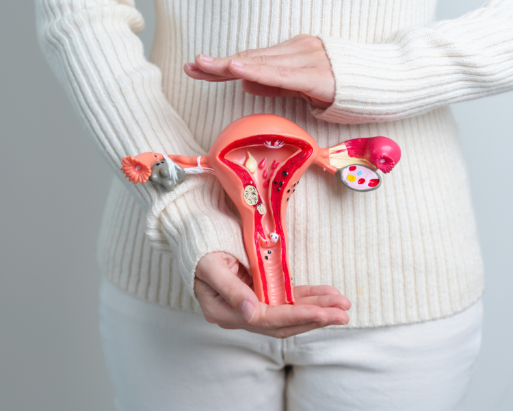 Pap +Videocolposcopía