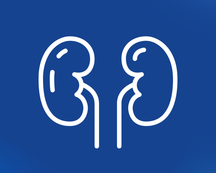 Consulta Nefrología Canino