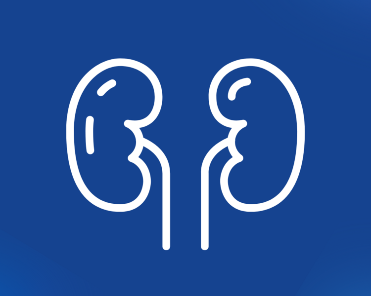 Consulta Nefrología Felino