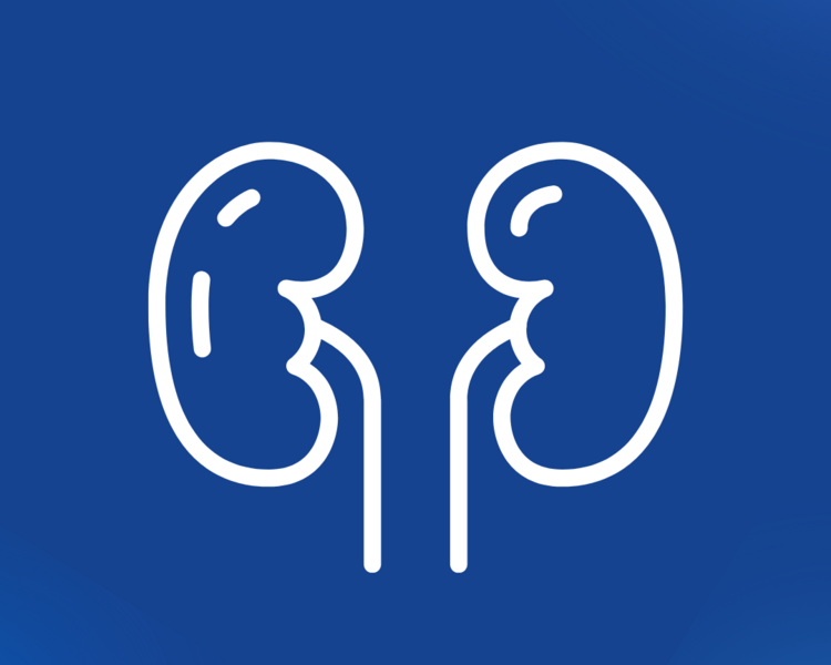 Control Nefrología Canino