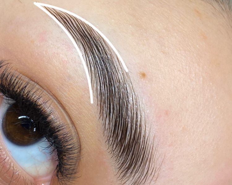 Diseño, perfilado, laminado, botox y nutrición 