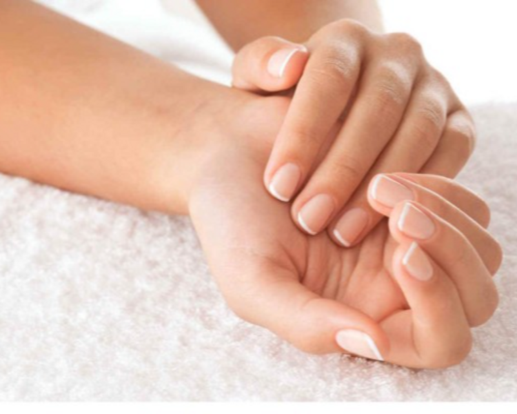 Clacio + Gel Premium Peonies