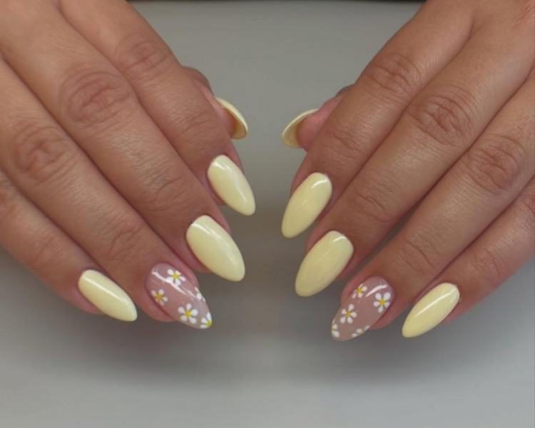 Soft Gel + Semiperamente Liso (incluye 2 diseños)