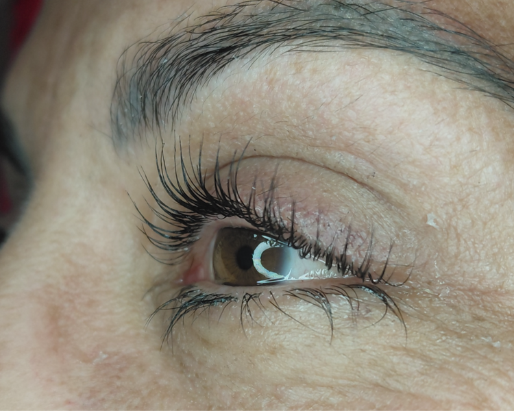 Lifting + Tinte + Nutrición (Premium)