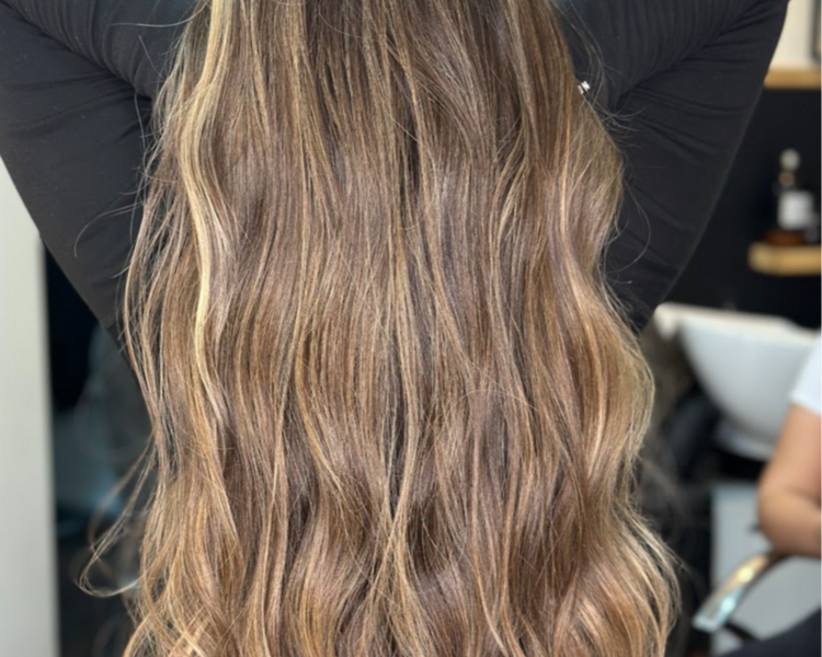 PROMOCIÓN UNIVERSAL