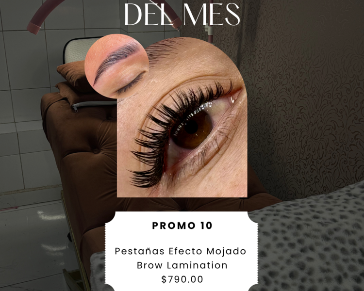 Pestañas Efecto Mojado Brow Lamination