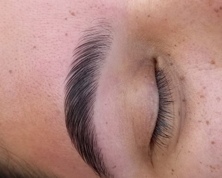 Laminado de cejas (con perfilado incluido)
