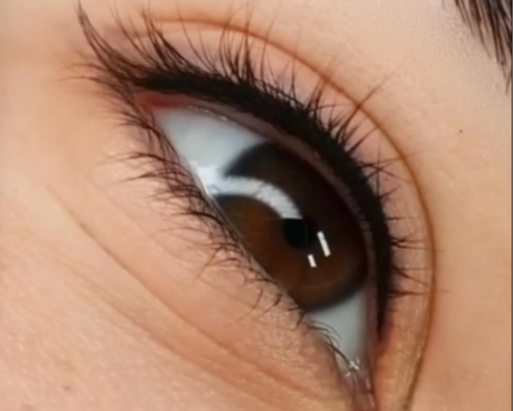 Entre Pestaña (retoque anual)