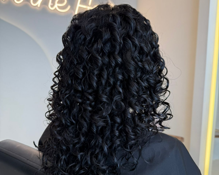 Hidra Curly o Hidracurly Corto