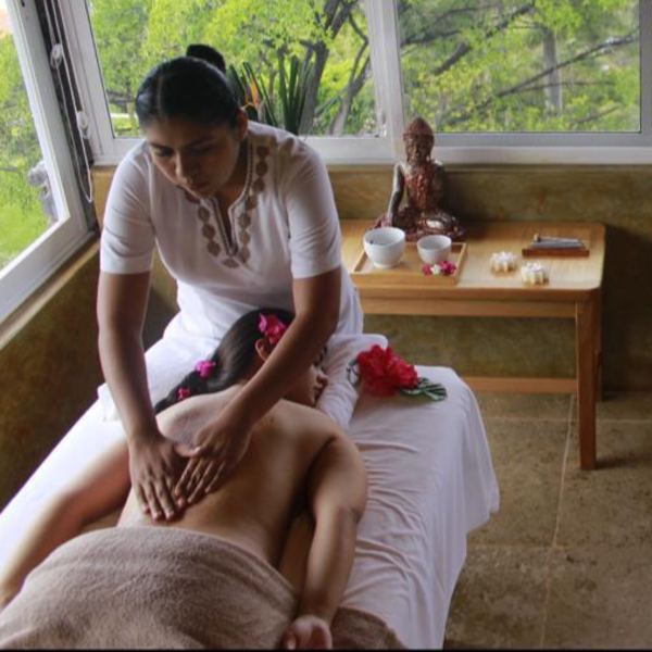 EXFOLIACION TE VERDE YJENGIBRE