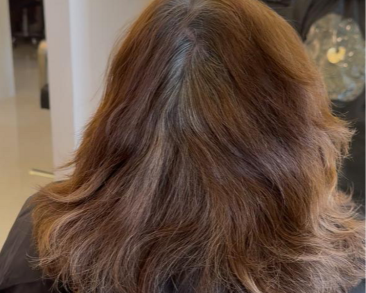 Cubrimiento de Canas