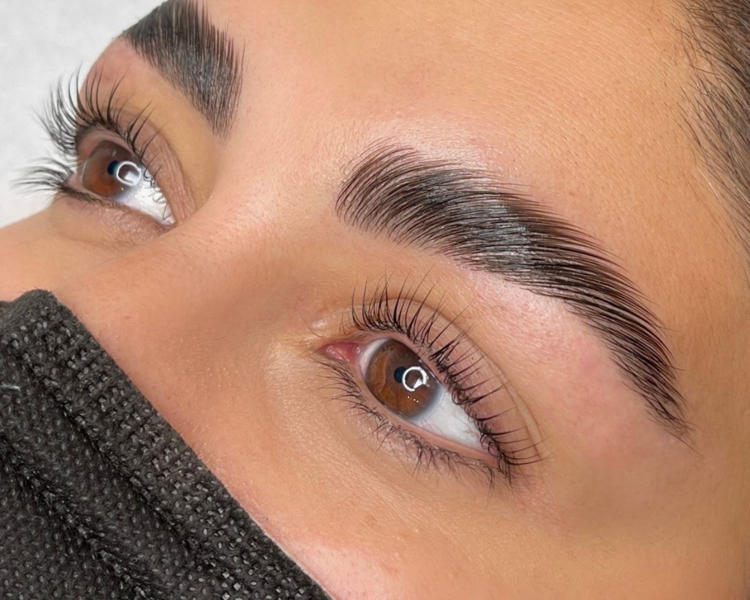 Diseño, laminado y nutrición de cejas 