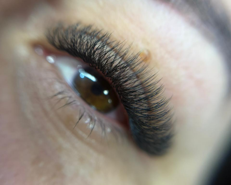 Extensiones (Tecnológicas 3D)