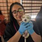 Dra. MV, Camila Vallejos (Región Metropolitana) photo