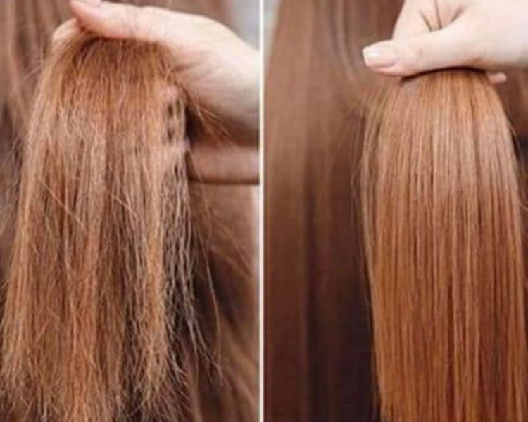 CORTE BORDADO desde..