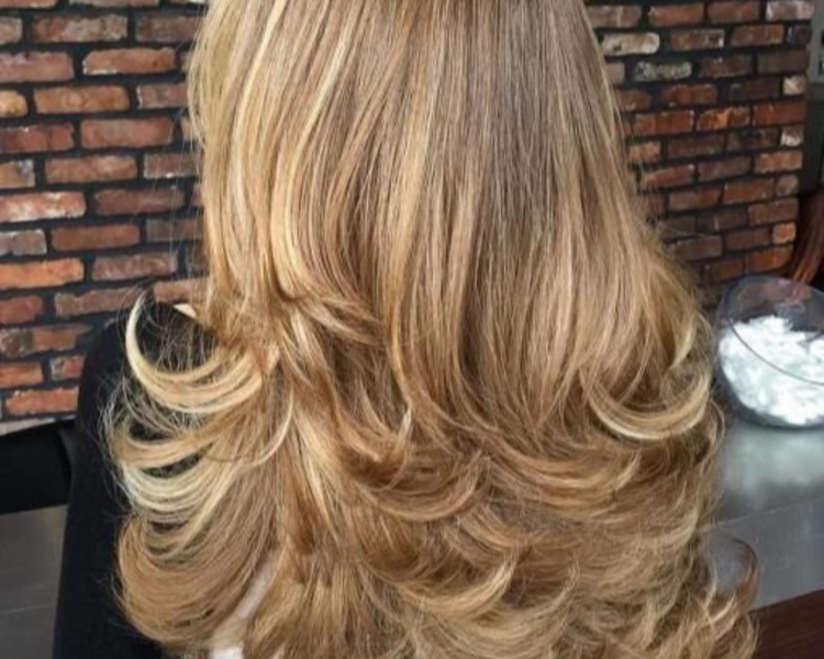 BRUSHING/PLANCHADO desde...