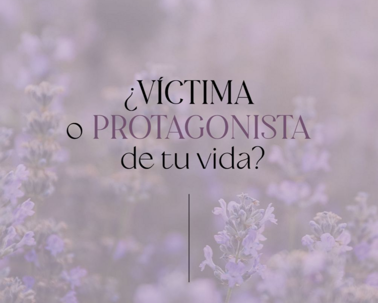 Sesión Método Sincroholoterapia