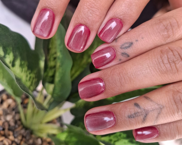 Nivelacion builder gel