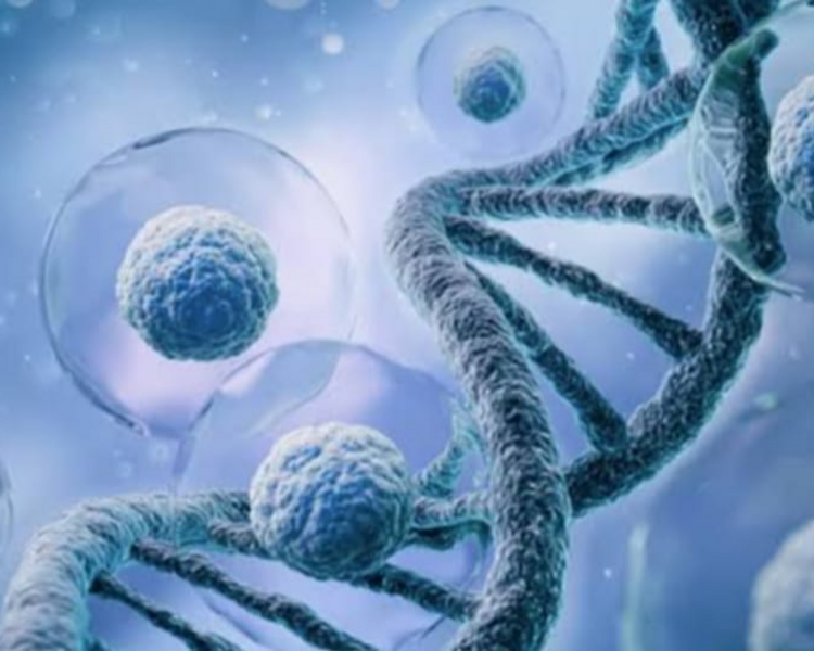 Exoxomas Reparación Celular (Servicio Nuevo)