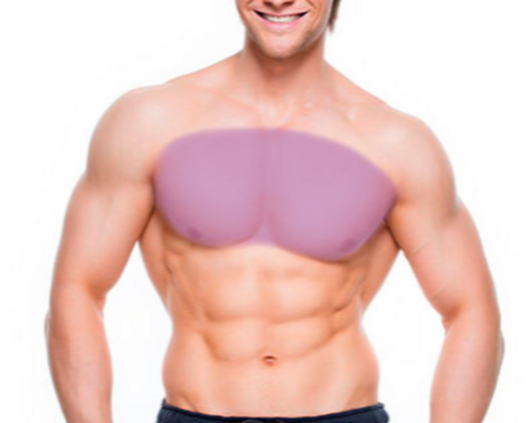 Pecho -  Zona Torax HOMBRE