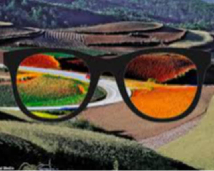 Consulta Oftalmológica DALTONISMO 