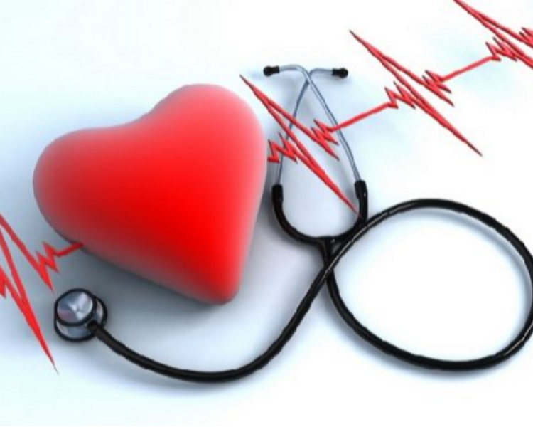 Cardiología BASICA prequirúrgico (Ecocardiograma + Electrocardiograma)
