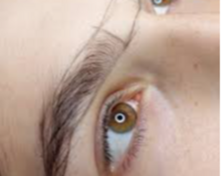 Diseño y Perfilado de Cejas