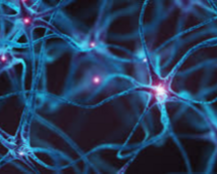 Consulta Neurológica 