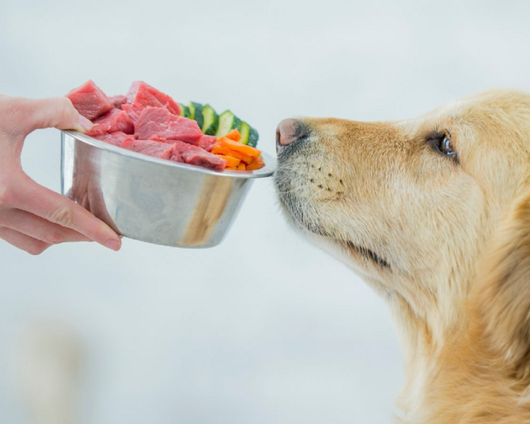 Consulta Nutricionista 