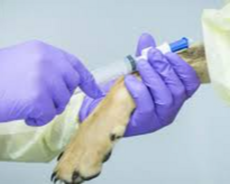 Consulta Oncológica 