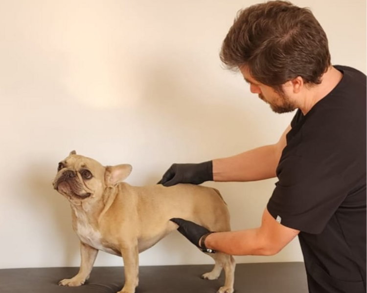 Consulta Neurológica 