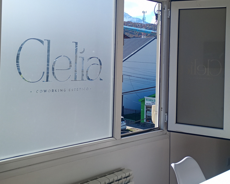 TRATAMIENTOS  mensuales REDUCTOR Y TONIFICANTE  CON PLATAFORMA VIBRATORIA 