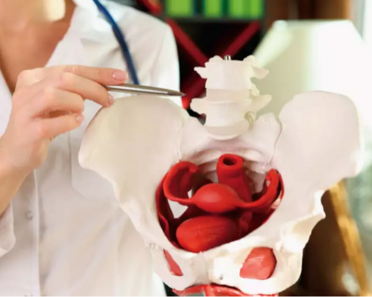 Sesión de Piso Pélvico 