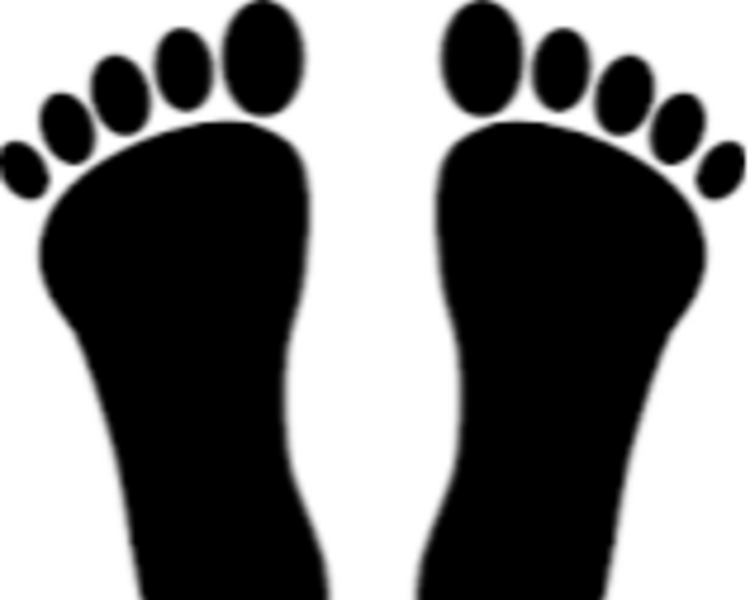 Estudio de la Marcha/Plantillas personalizadas