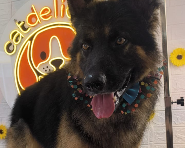 MANTO LARGO DOBLE CAPA DESDE 35KG