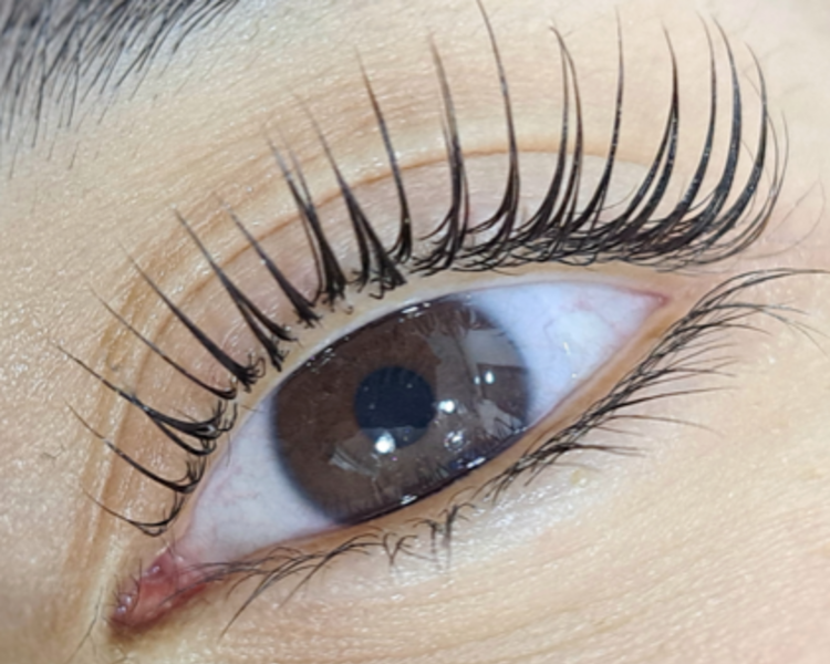 🌸 Lifting Fusión Mink