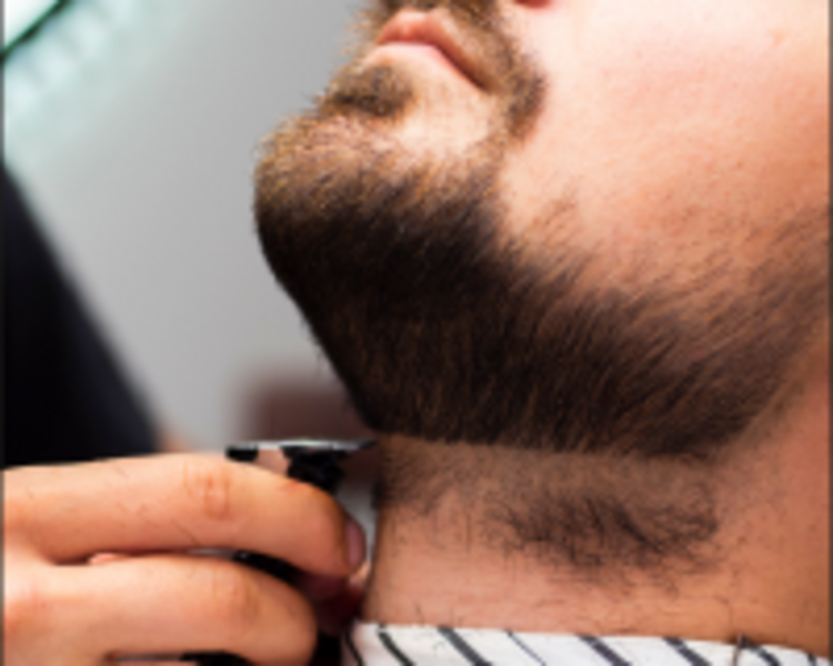 Delineado de Contornos