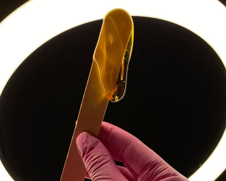 Depilación de cavado completo mas tiro de cola 