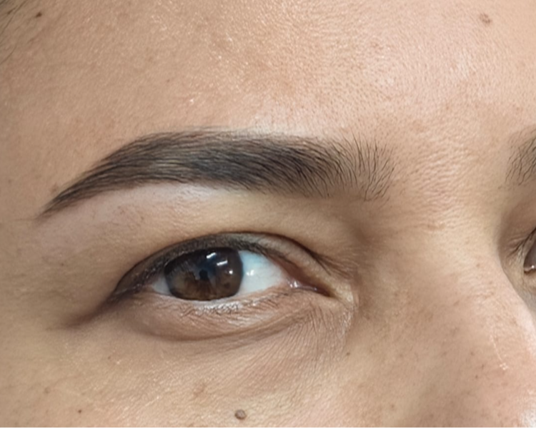 Cejas y Diseño