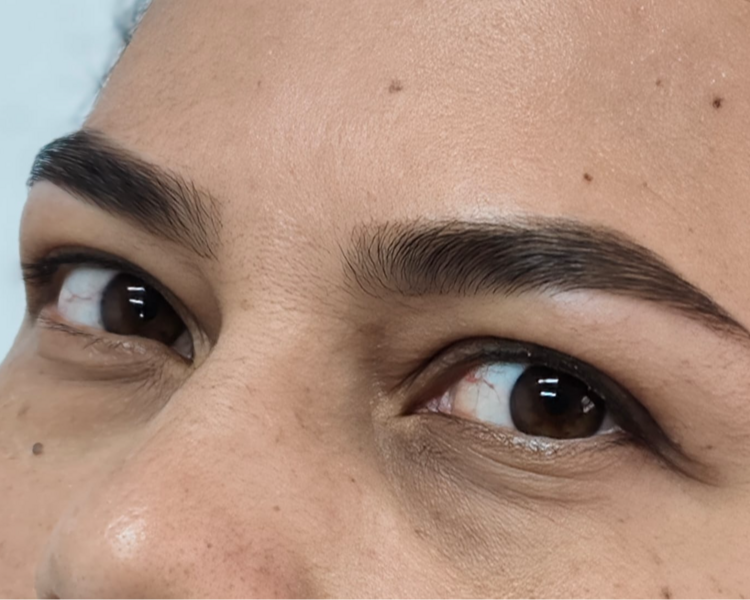 Cejas, Diseño y Henna