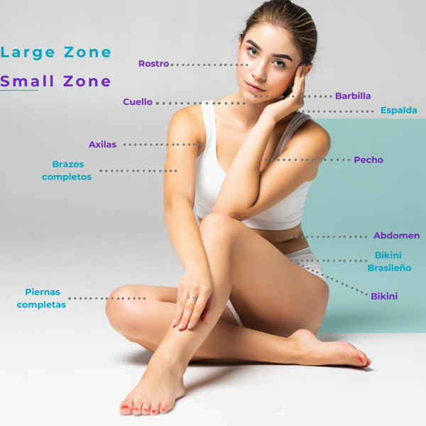 Full Body = 4 Large Zones + 4 Small Zones (1 Session)
