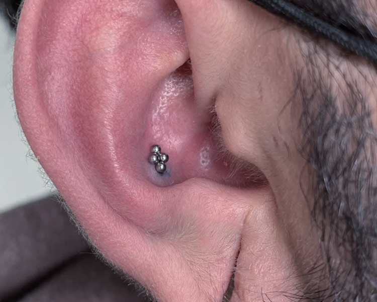 Conch Piercing 