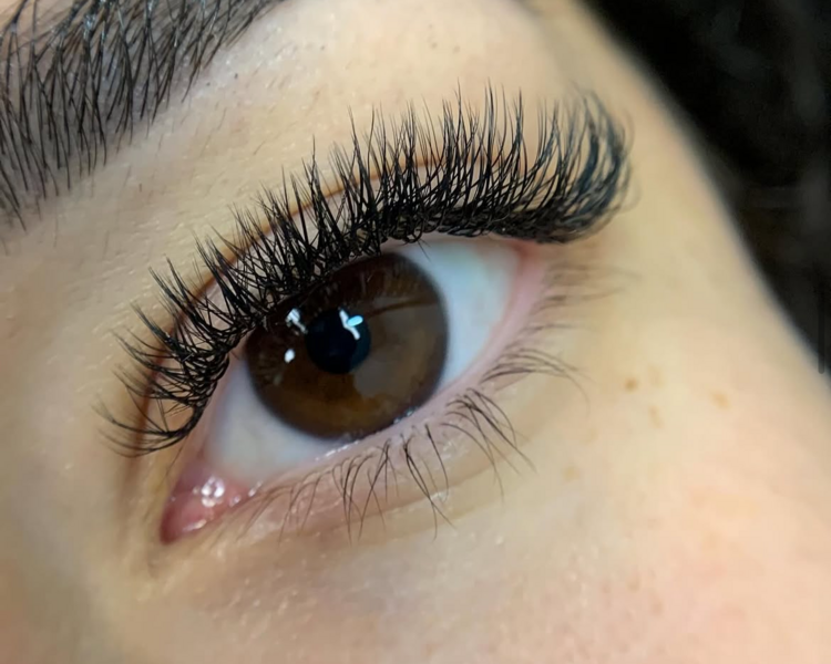 Técnica Híbridas Light Venus