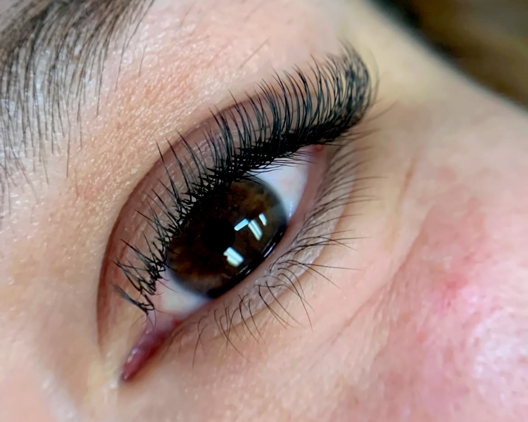 Técnica Clásicas Selene